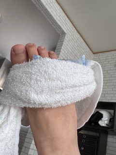 ���ꂩ��́[