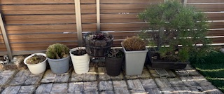 �A�؂̒f�̗�