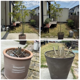�V�}�g�l���R